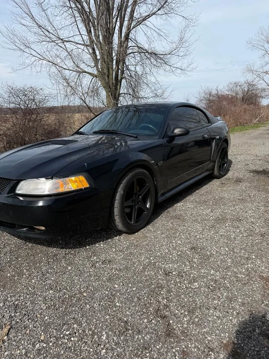 2000 Ford SN95 Mustang - Image 2 of 6