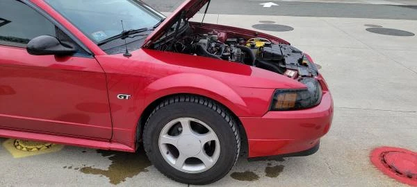 2000 Ford SN95 Mustang - Image 4 of 5