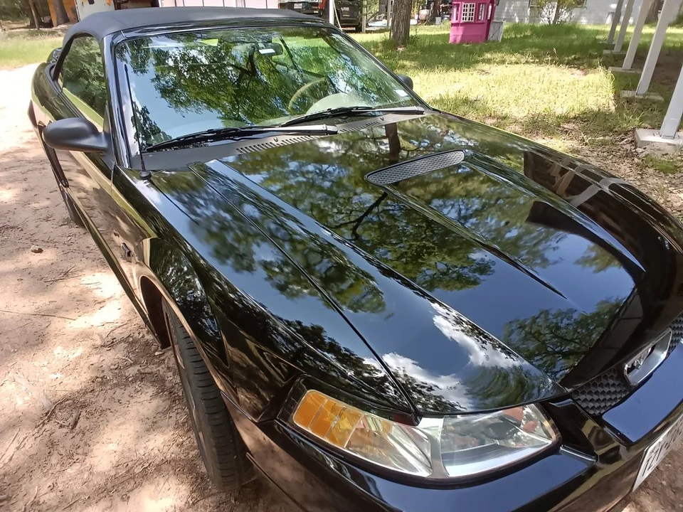 2000 Ford SN95 Mustang - Image 5 of 16