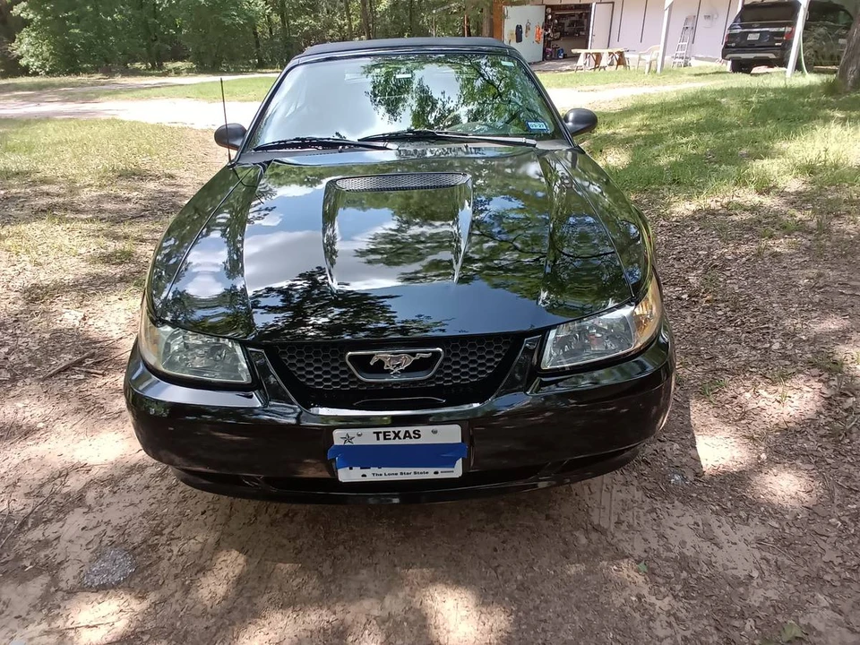 2000 Ford SN95 Mustang - Image 4 of 16