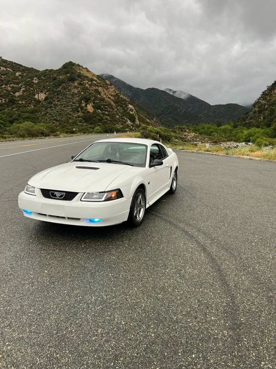 2000 Ford SN95 Mustang - Image 3 of 16