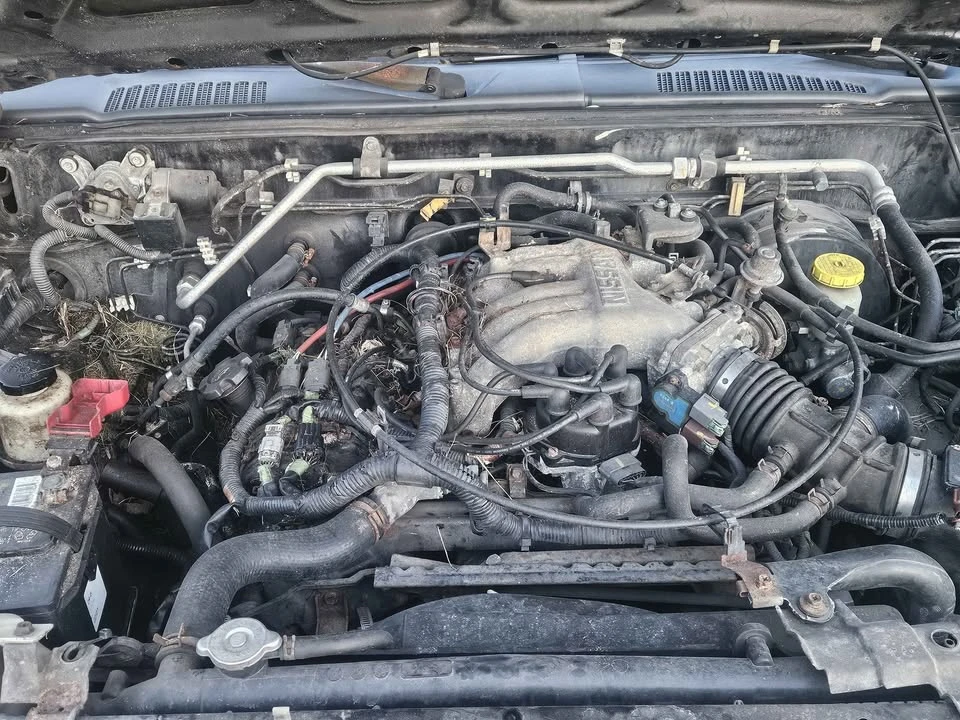 2000 Nissan Frontier 1st Gen - Image 4 of 7