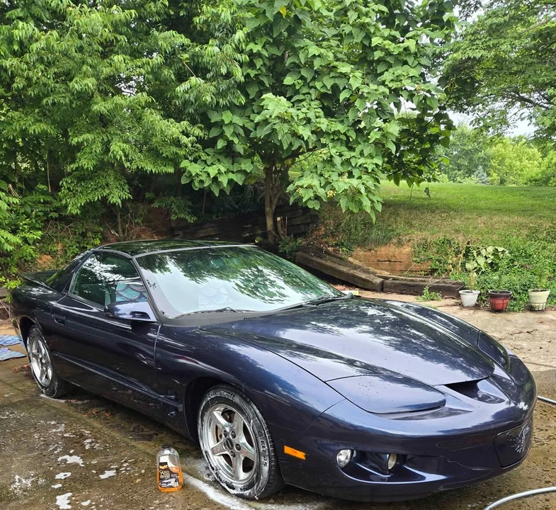 2000 Pontiac Firebird 4th Gen - Image 8 of 8