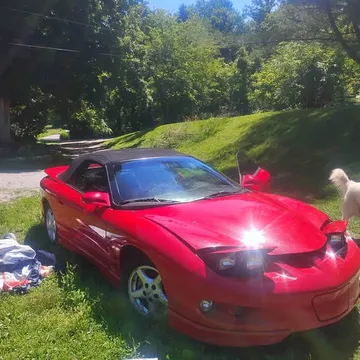 2000 Pontiac Firebird Convertible 2D