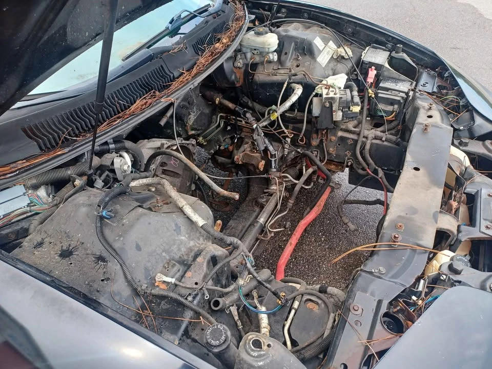 2000 Pontiac Firebird Trans Am 4th Gen - Image 19 of 19