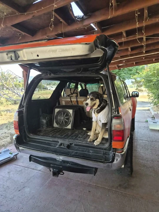 2000 Toyota 4Runner 3rd Gen - Image 5 of 12
