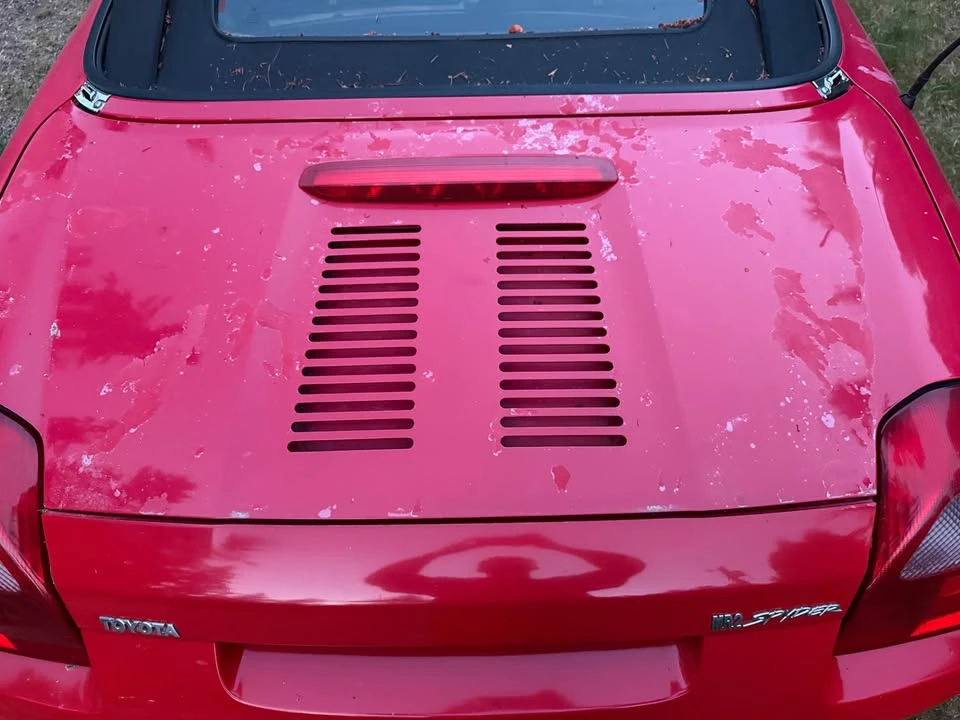 2000 Toyota MR2 Spyder/MR-S - Image 4 of 10