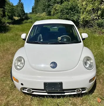 2000 Volkswagen Beetle