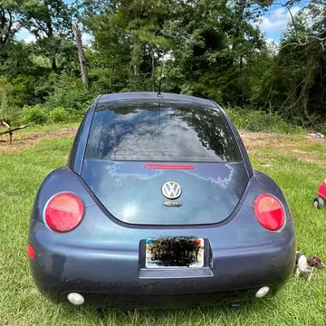2000 Volkswagen Beetle