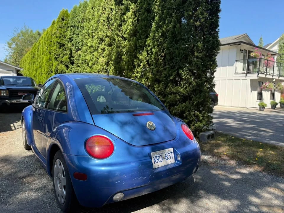 2000 Volkswagen New Beetle - Image 2 of 7