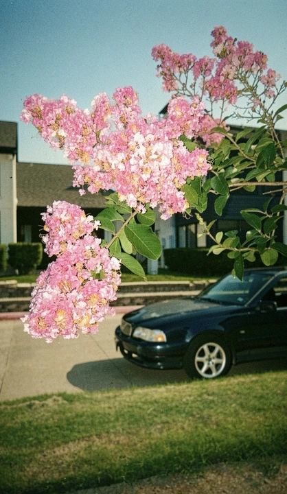 2000 Volvo V70 1st Gen - Image 7 of 20