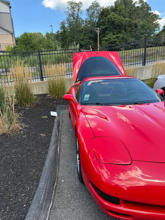 2000 Chevrolet Corvette C5 - Image 14 of 22
