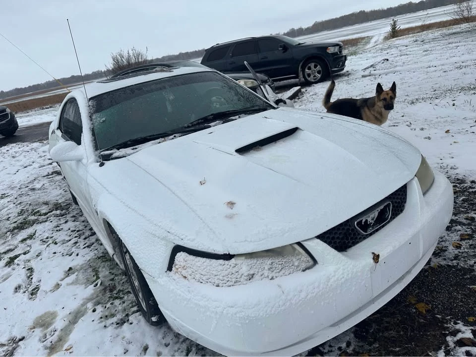 2000 Ford SN95 Mustang - Image 3 of 4