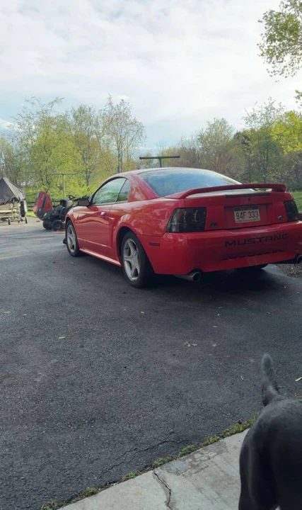2000 Ford SN95 Mustang - Image 2 of 3