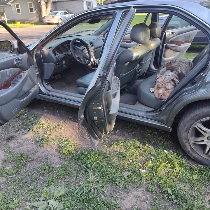 2001 Acura TL 2nd Gen - Image 4 of 10