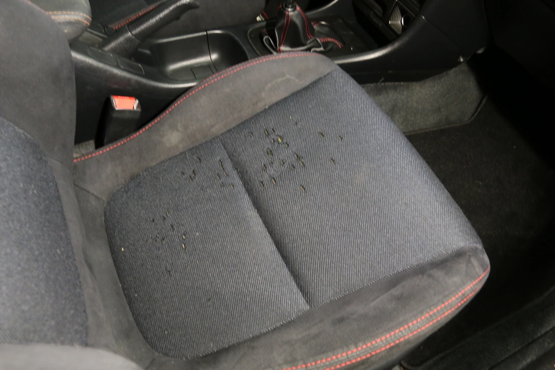 2001 Acura Integra Type R 3rd Gen - Image 20 of 31