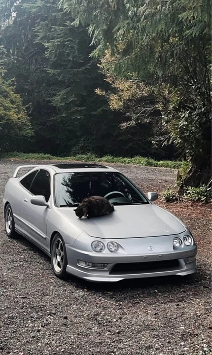 2001 Acura Integra 3rd Gen - Image 7 of 11