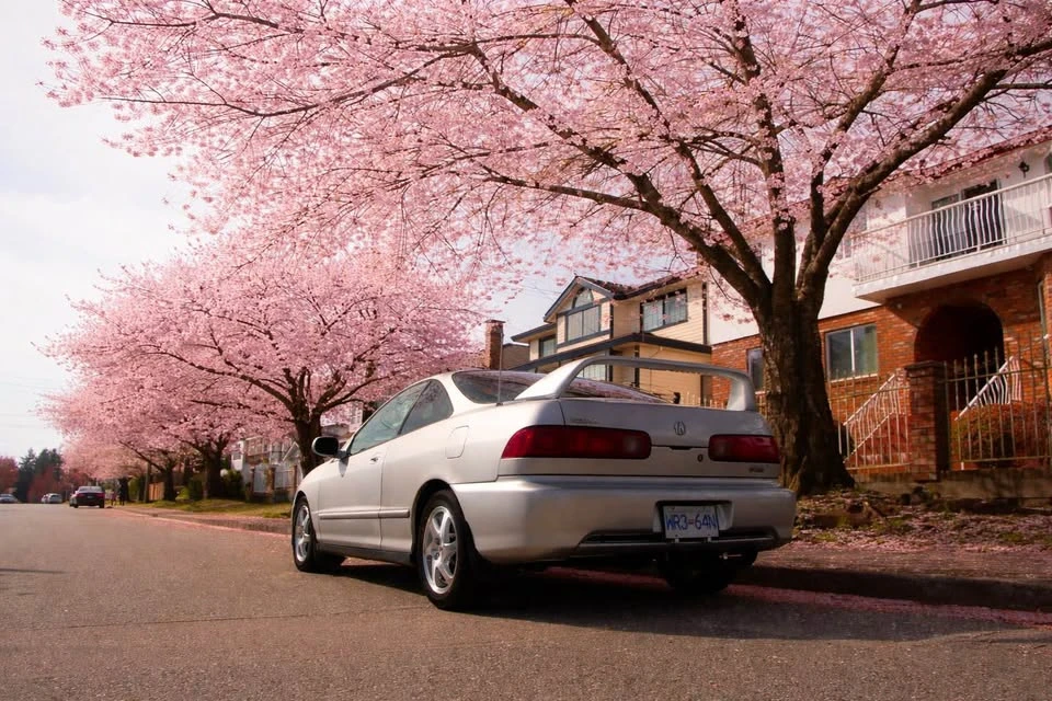 2001 Acura Integra 3rd Gen - Image 5 of 13