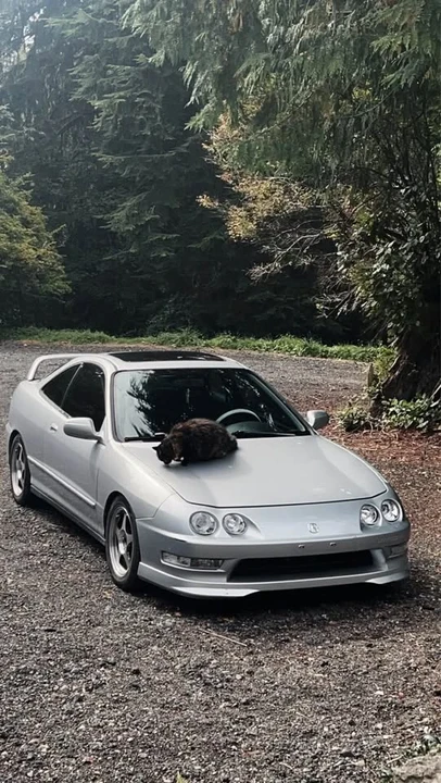 2001 Acura Integra 3rd Gen - Image 3 of 7