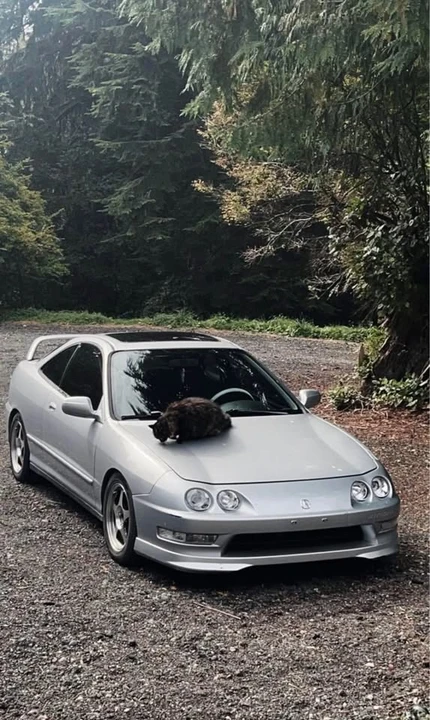 2001 Acura Integra 3rd Gen - Image 2 of 7