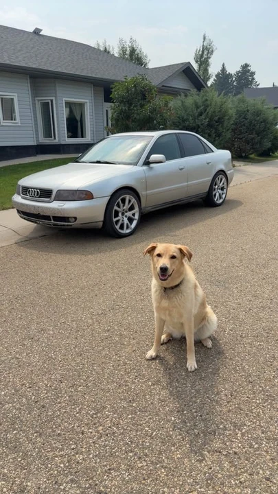 2001 Audi B5 A4 - Image 2 of 5