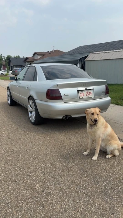 2001 Audi B5 A4 - Image 3 of 5