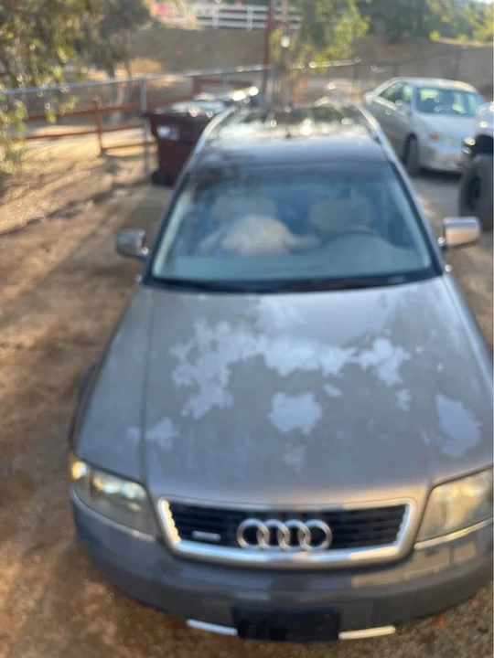 2001 Audi Allroad - Image 5 of 7