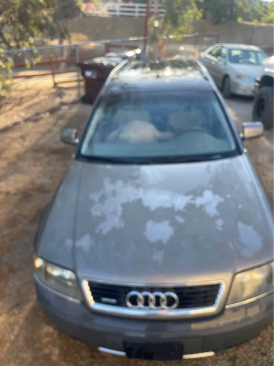 2001 Audi Allroad - Image 4 of 7