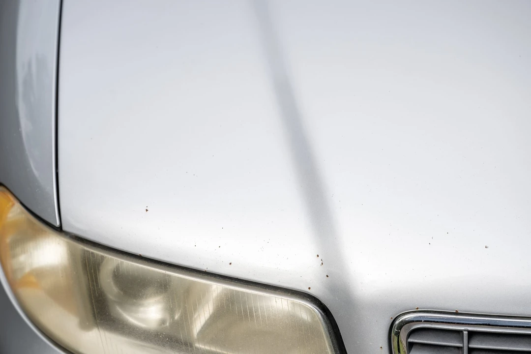 2001 Audi B5 S4 - Image 30 of 31