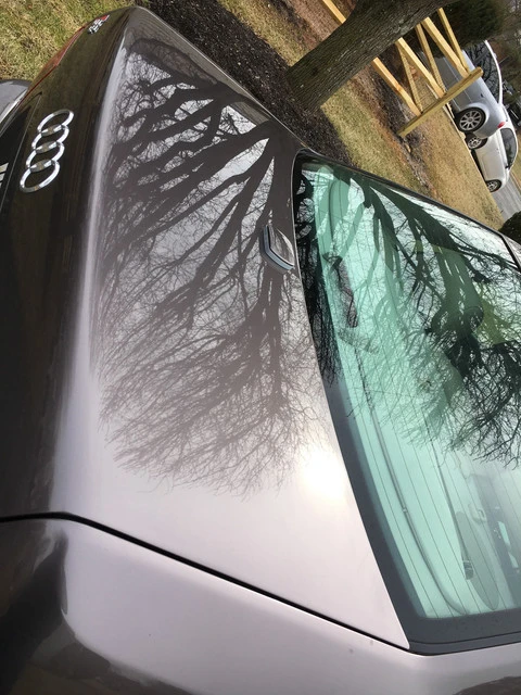 2001 Audi D2 S8 - Image 12 of 31