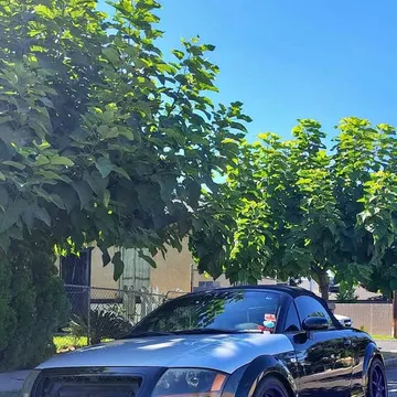 2001 Audi TT Convertible