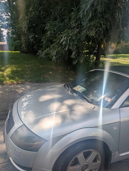 2001 Audi TT Mk1 - Image 8 of 8