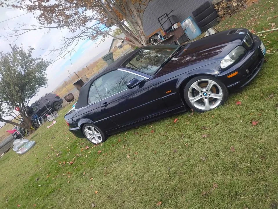 2001 BMW E46 3 Series - Image 2 of 7
