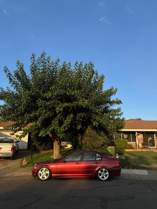 2001 BMW E46 3 Series - Image 4 of 4