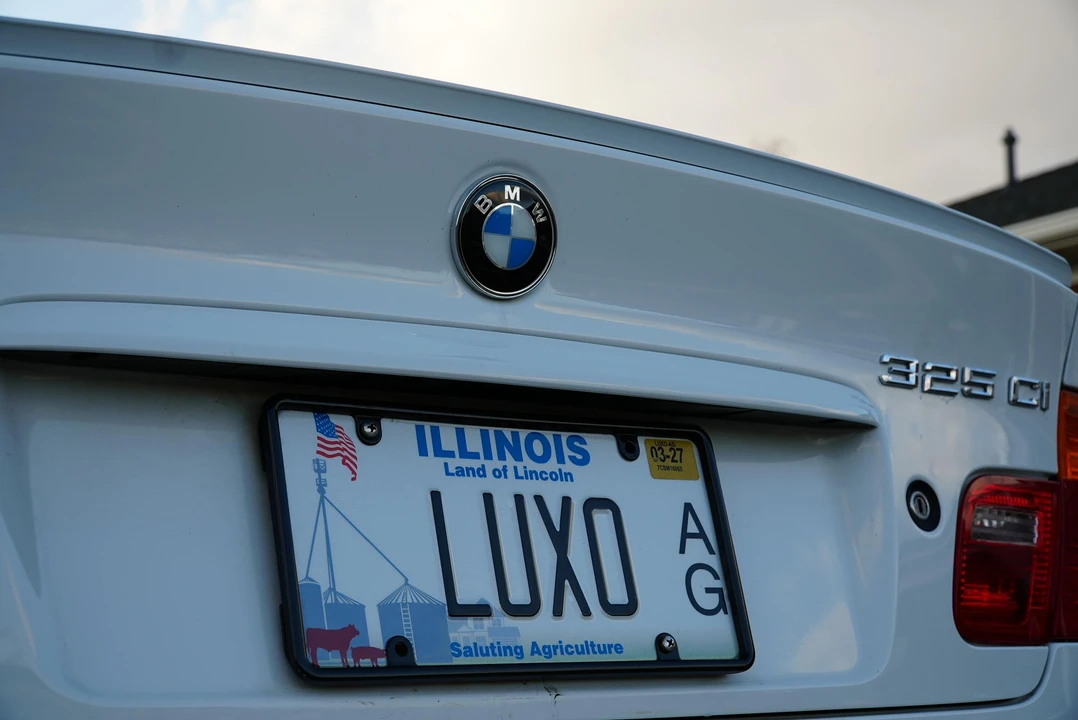 2001 BMW E46 3 Series - Image 19 of 31