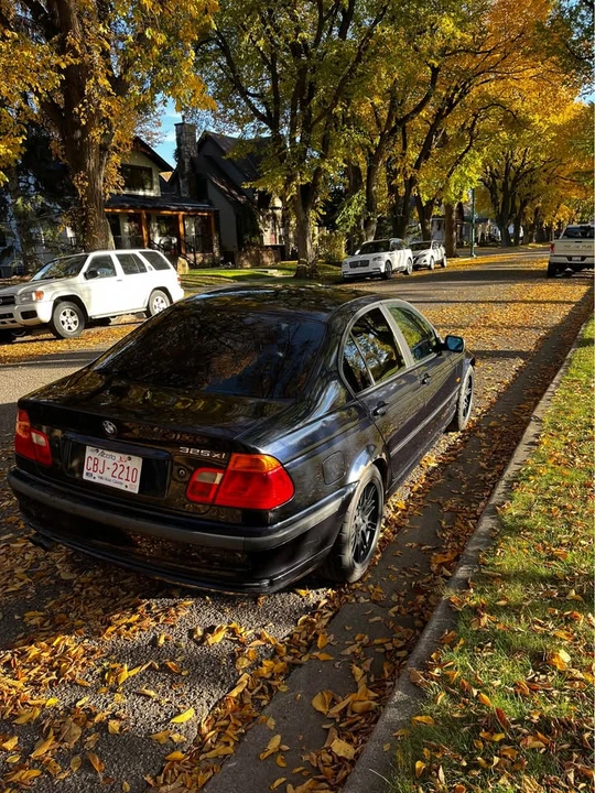2001 BMW E46 3 Series - Image 3 of 7