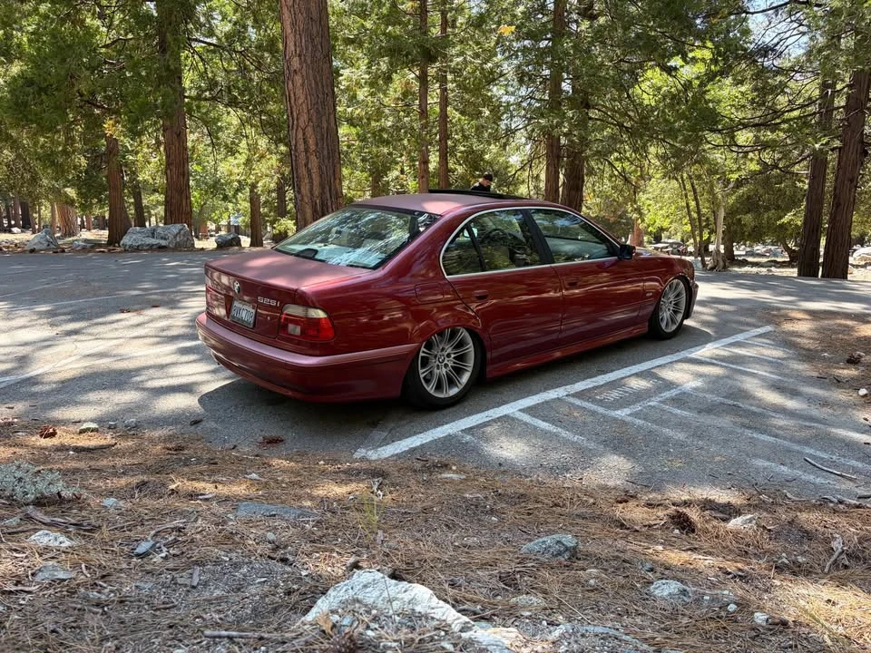 2001 BMW E39 5 Series - Image 6 of 10