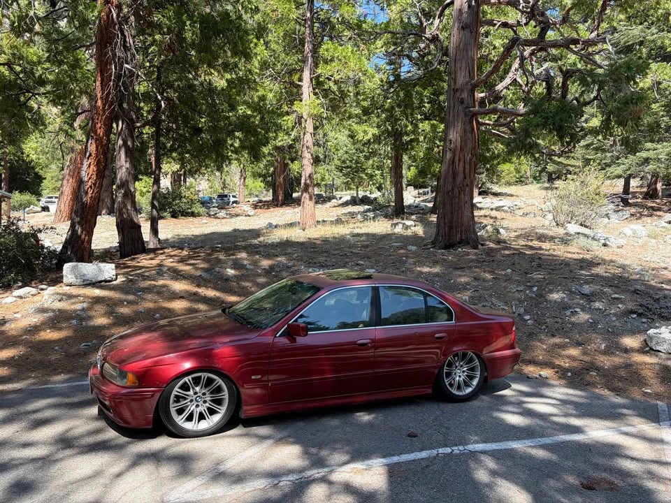 2001 BMW E39 5 Series - Image 8 of 10