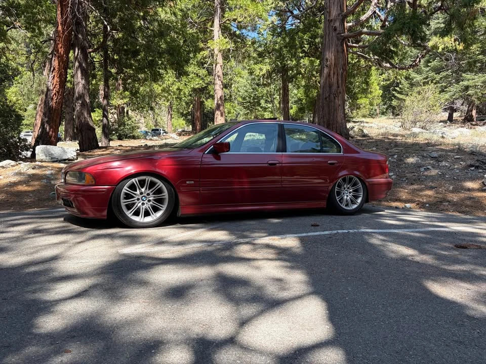 2001 BMW E39 5 Series - Image 7 of 10