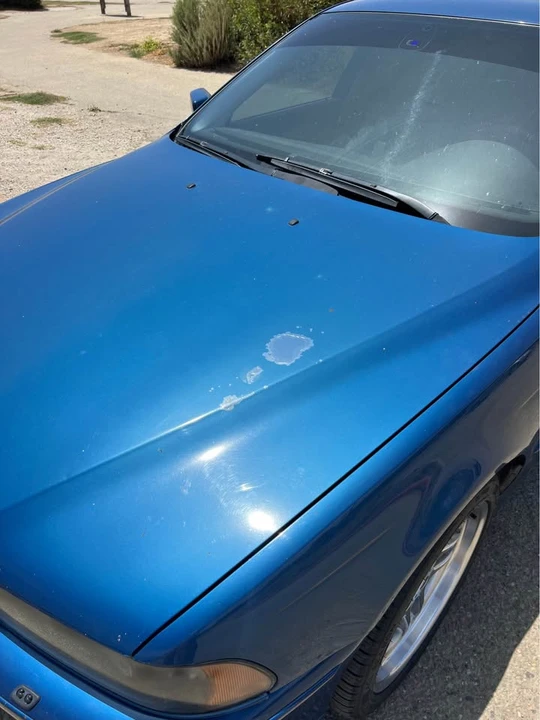 2001 BMW E39 5 Series - Image 19 of 19