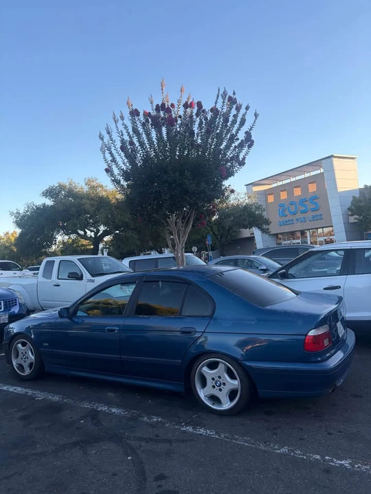 2001 BMW E39 5 Series - Image 7 of 14