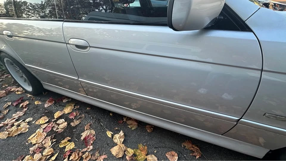 2001 BMW E39 540i - Image 5 of 11