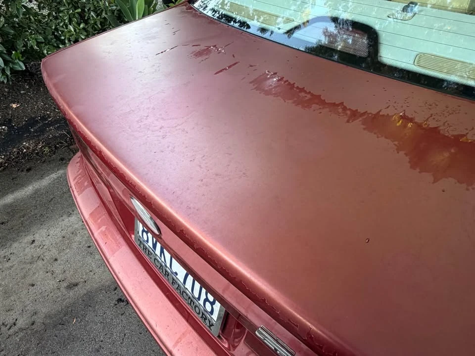 2001 BMW E39 5 Series - Image 12 of 16