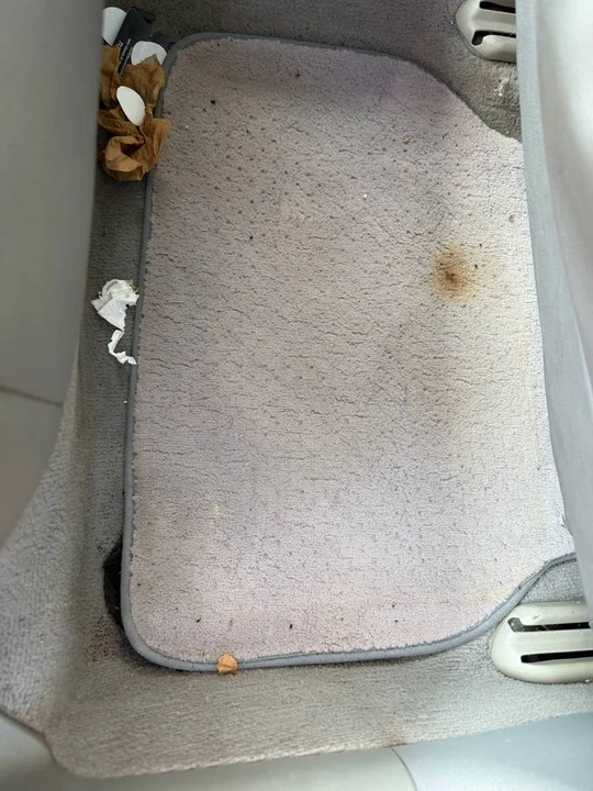2001 BMW E39 540i - Image 7 of 18