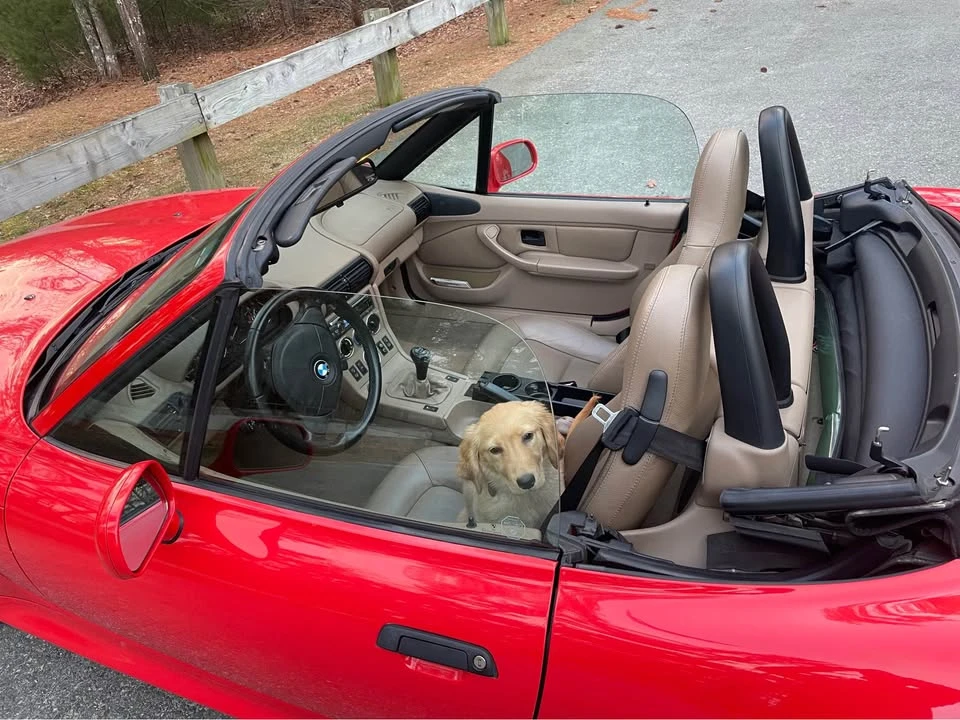 2001 BMW Z3 Roadster - Image 5 of 7