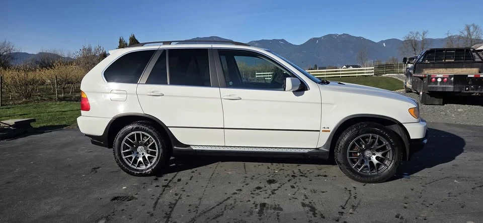 2001 BMW E53 X5 - Image 16 of 20