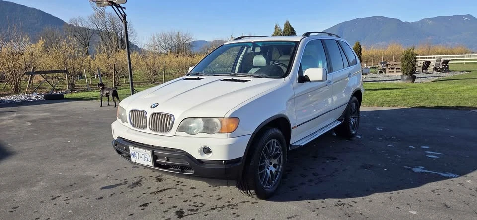 2001 BMW E53 X5 - Image 13 of 20