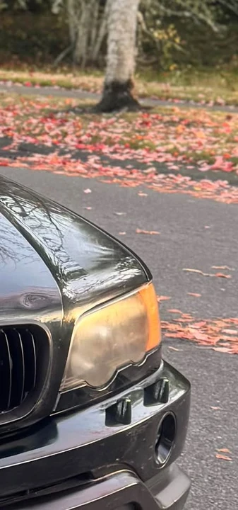 2001 BMW E53 X5 - Image 12 of 13