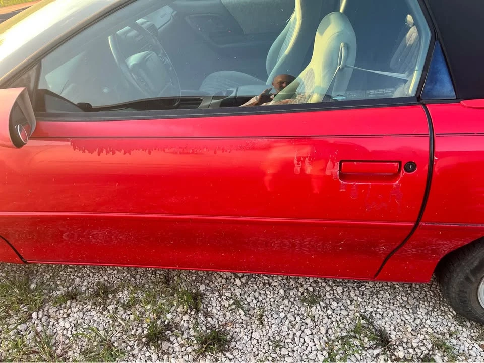 2001 Chevrolet Camaro 4th Gen - Image 6 of 9