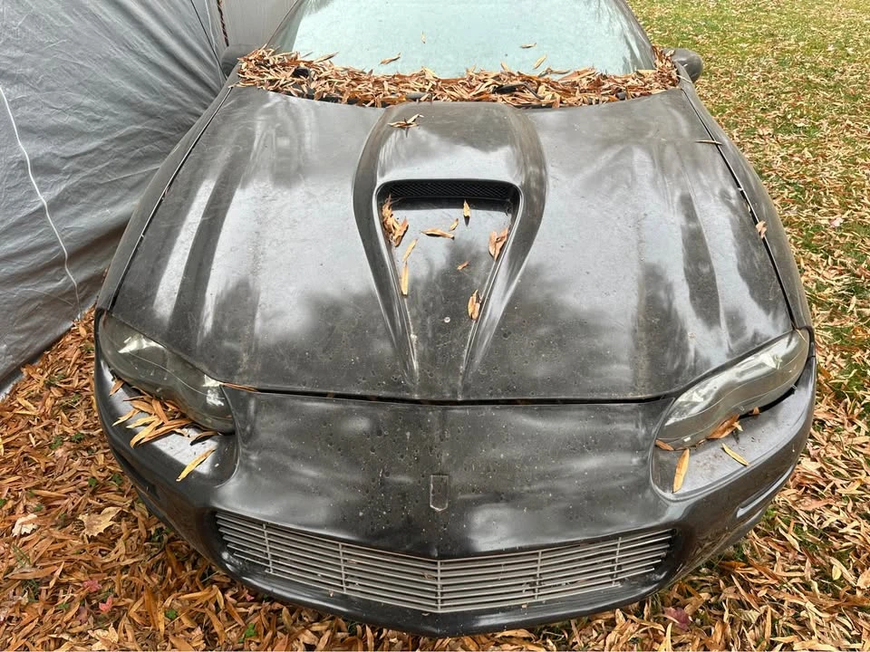 2001 Chevrolet Camaro SS 4th Gen - Image 2 of 13